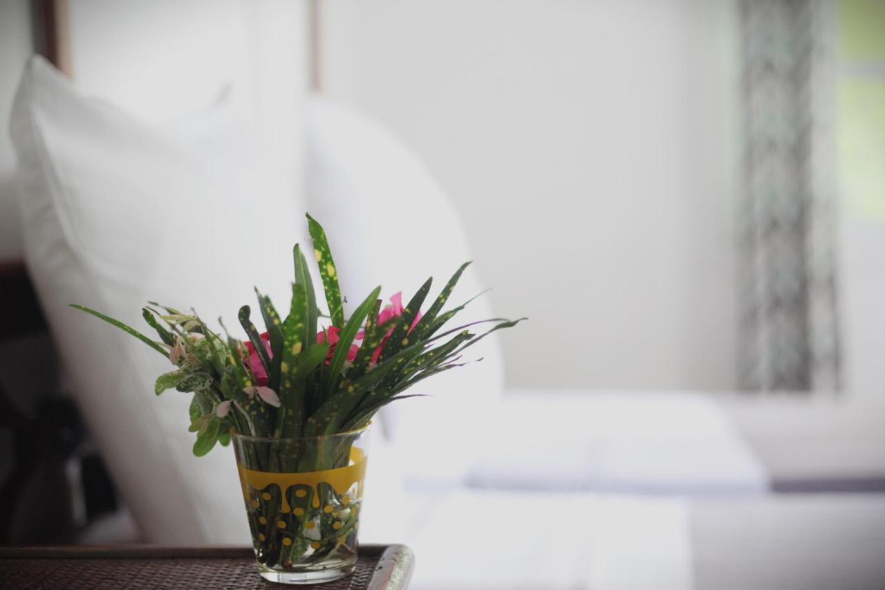 Hotel Jardin De La Paix モロニ エクステリア 写真
