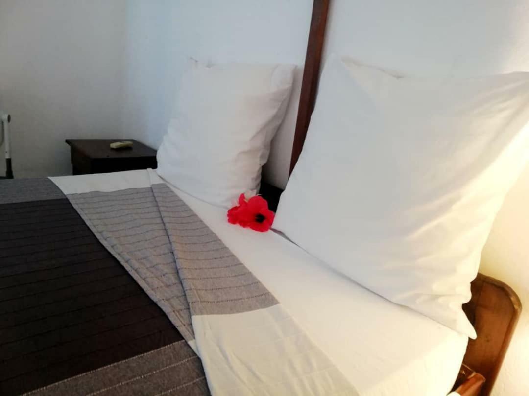 Hotel Jardin De La Paix モロニ エクステリア 写真